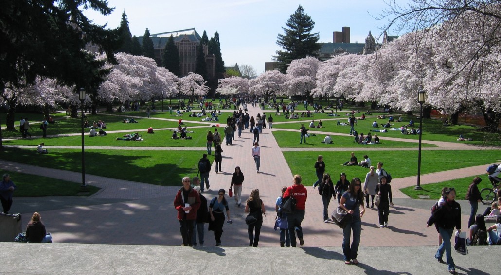University of Washington - Akademske Štipendije