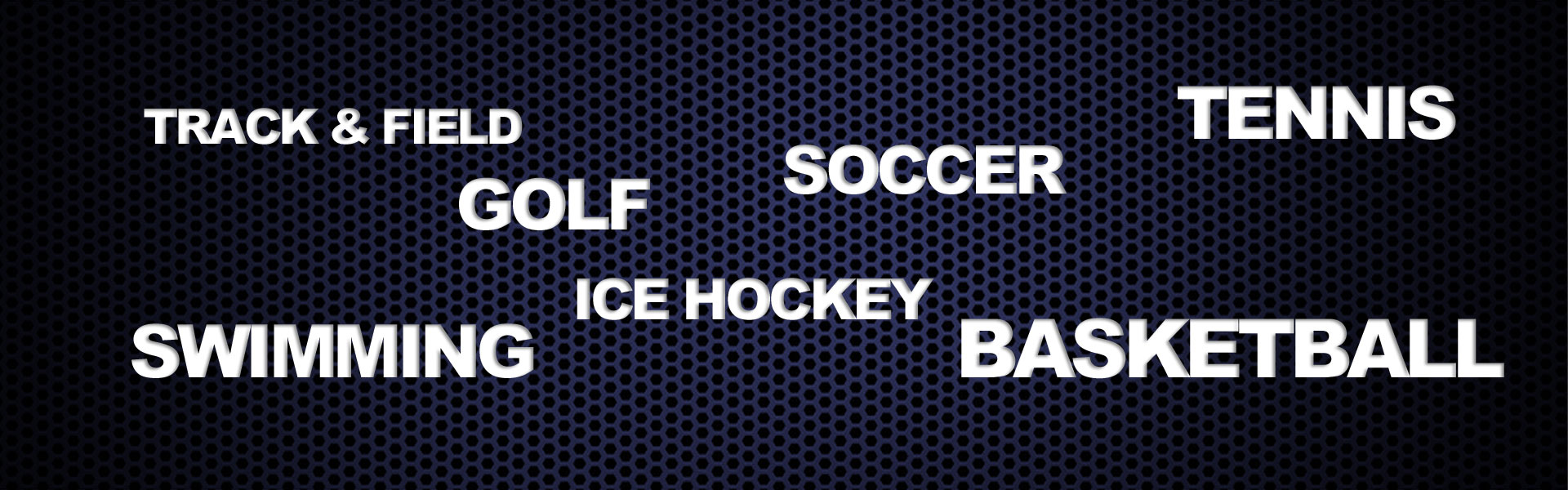 LV-Website-banner-blue-sports-ENGLISH