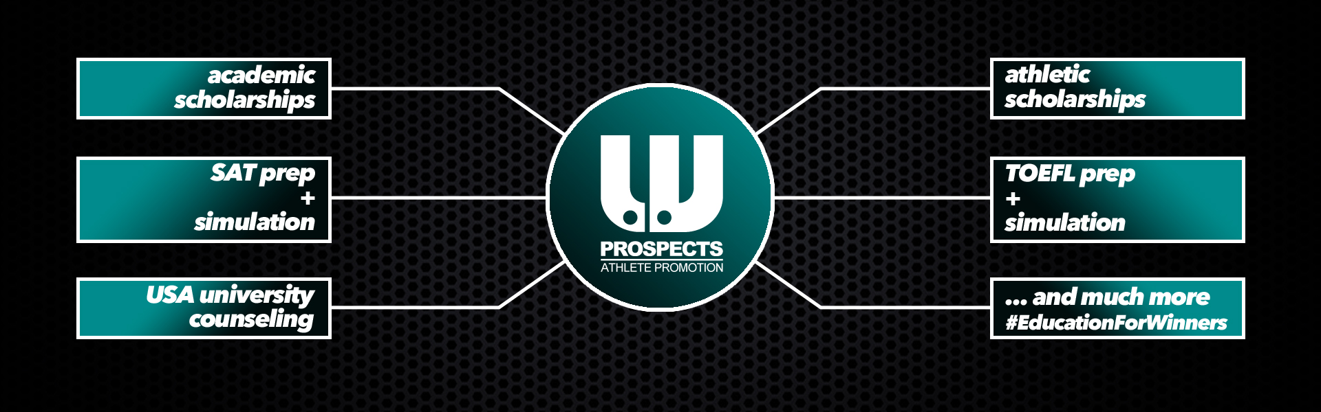 LV Prospects Website banner